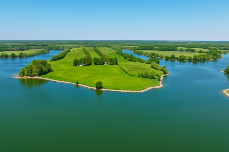 Hero for Home Services Options